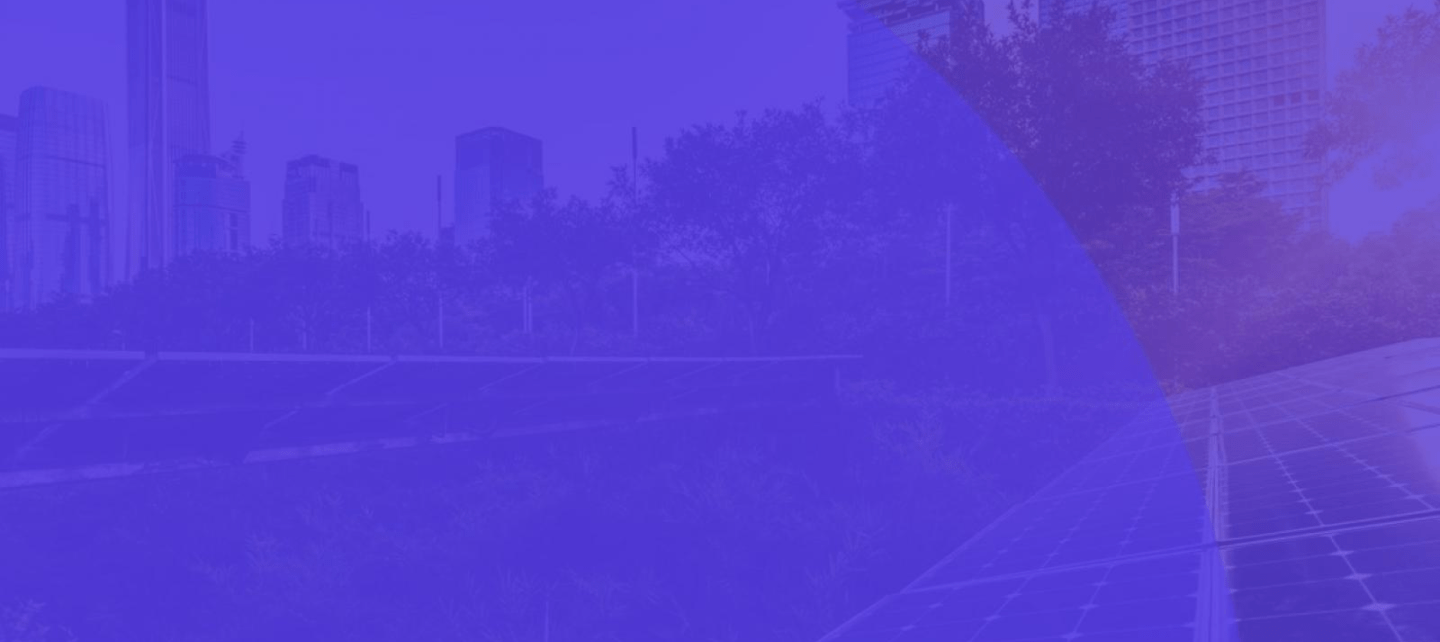 image-background-violet
